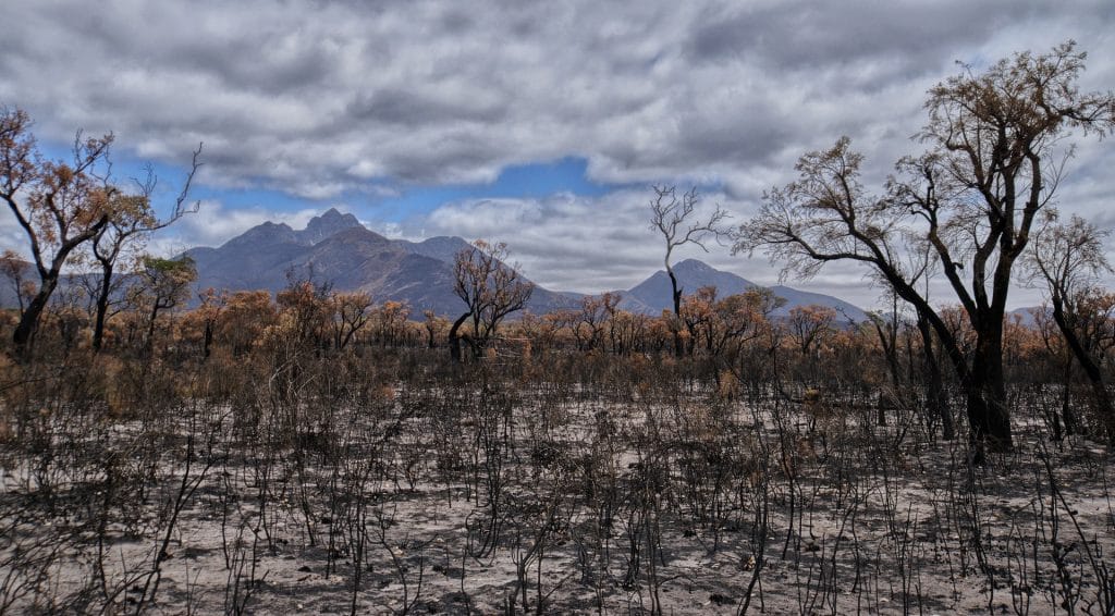 Australian Bushfire Respirators