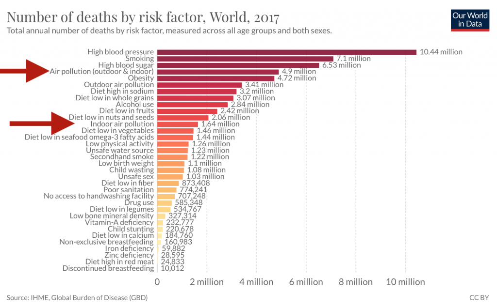 Indoor Air Pollution Deaths