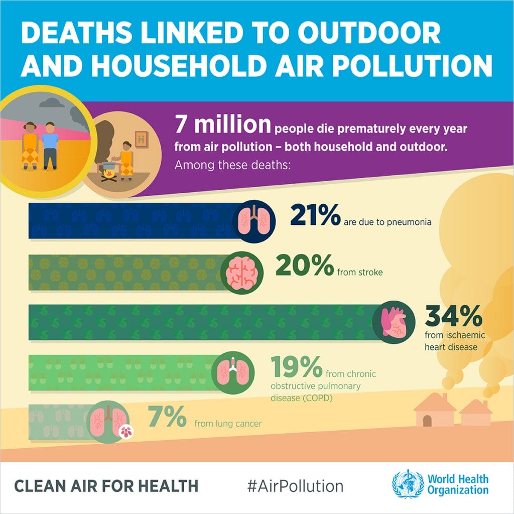 Air Pollution In Seoul - What You Need To Know 7 Air Pollution Deaths