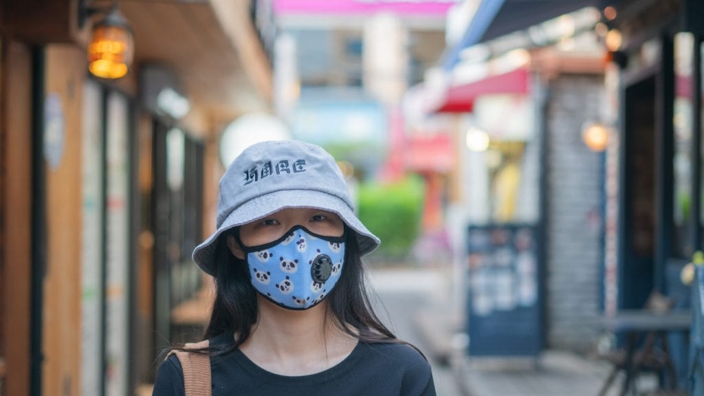 Vogmask Panda Mask