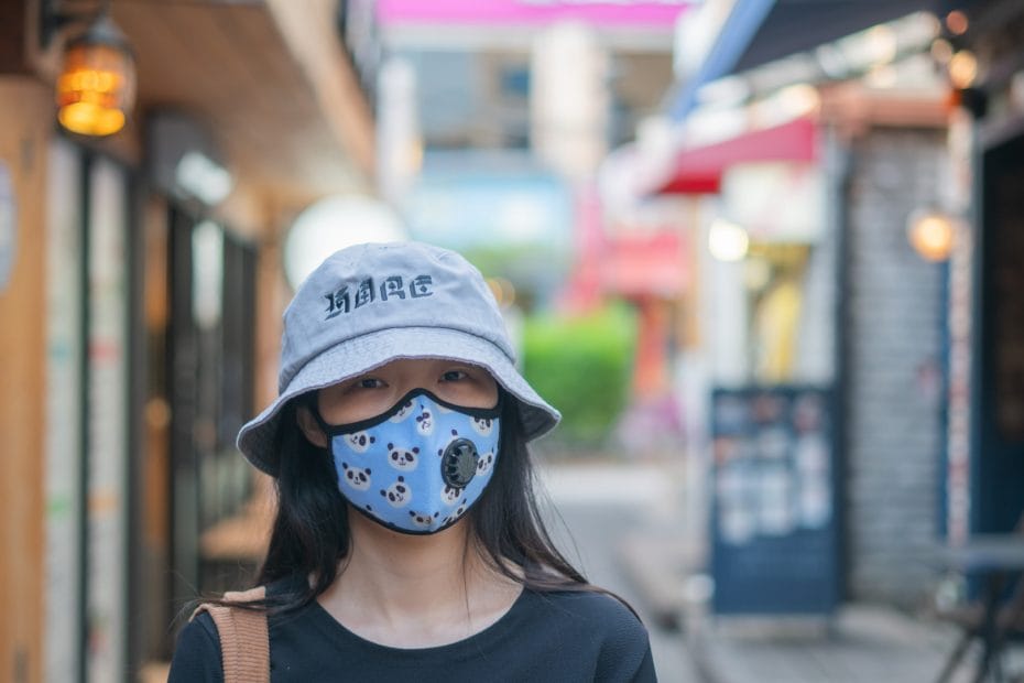 Vogmask Panda Mask