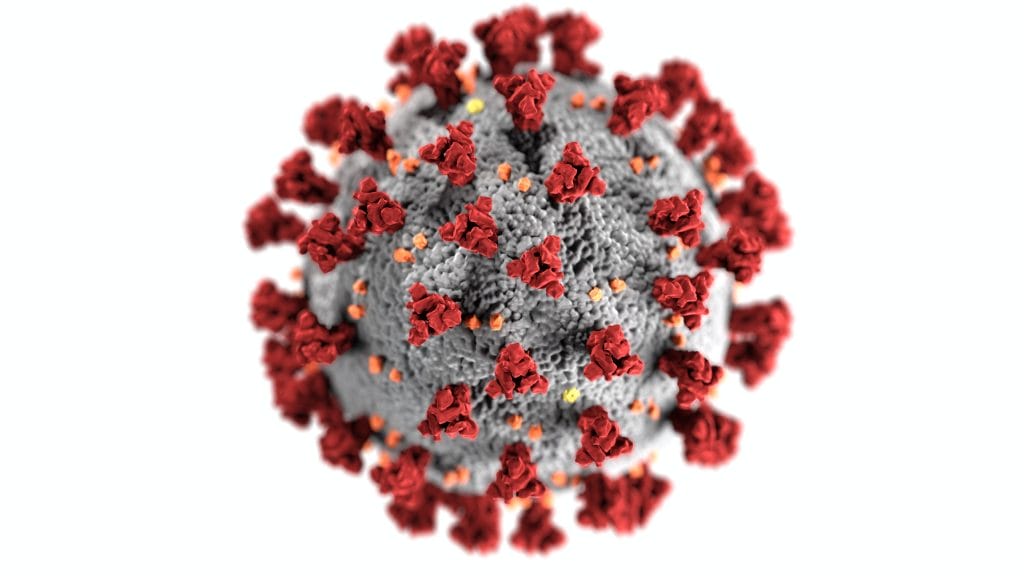 Virus Particle