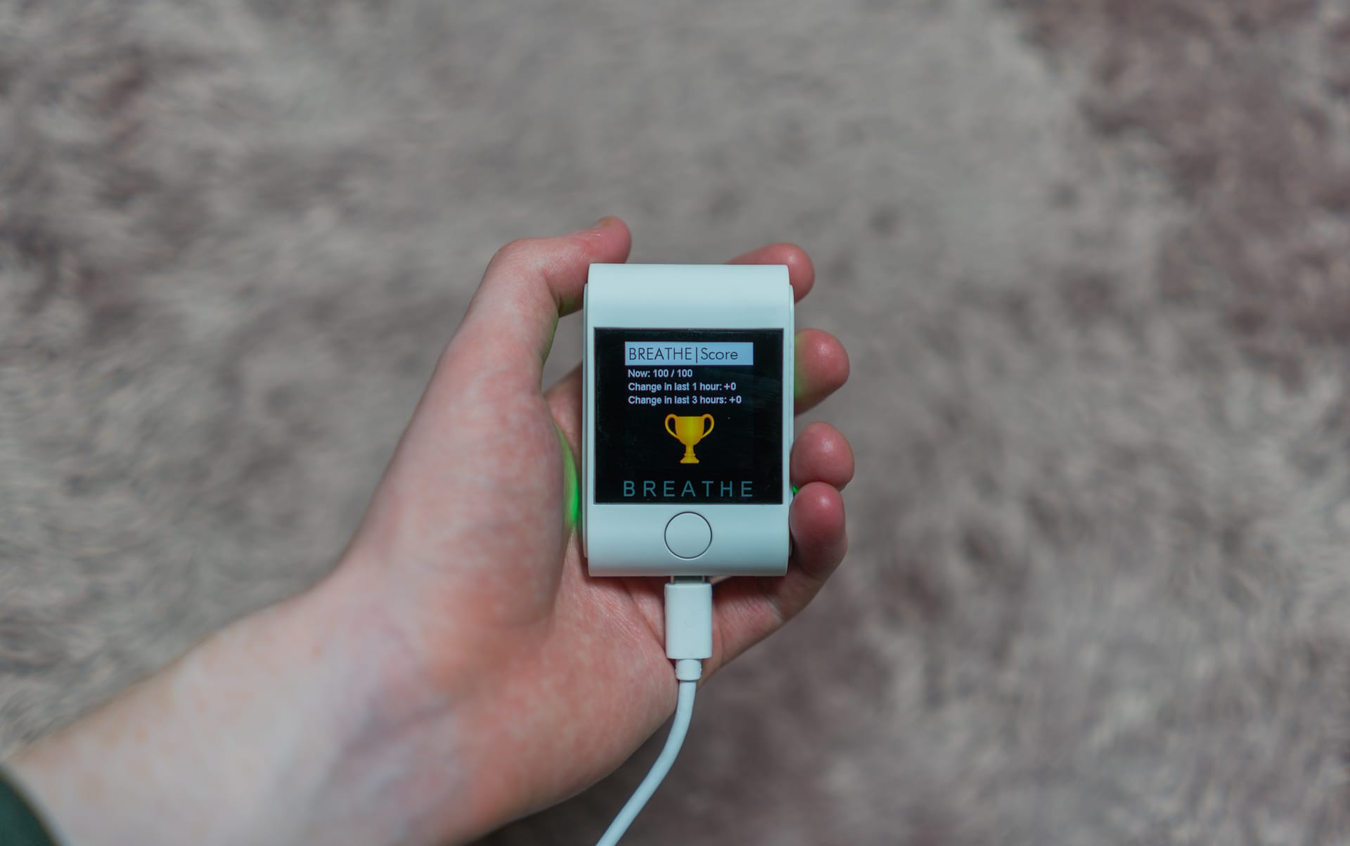 Breathe Smart 2 Portable Pm2.5 Monitor Review 6 Breathe Tech Breathe Score