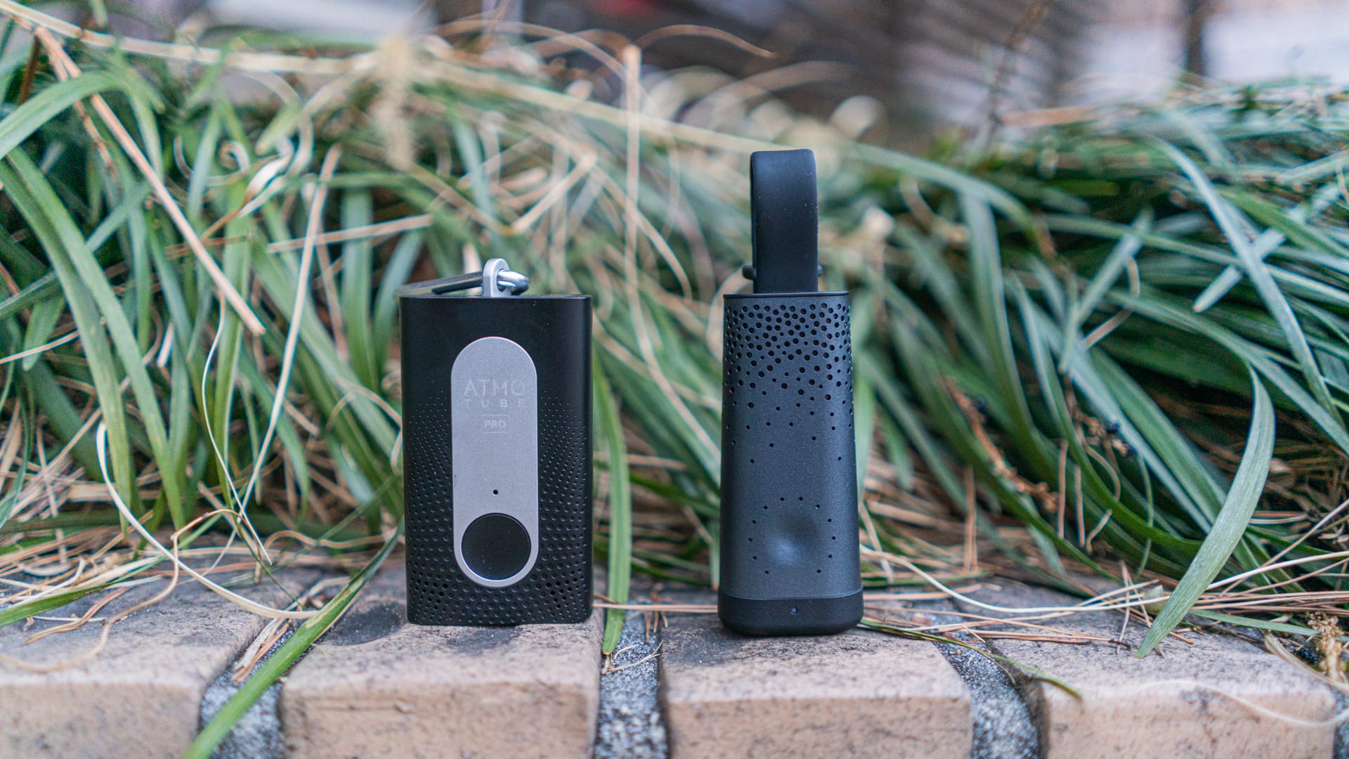 Flow 2 vs Atmotube Pro - Best Portable Air Pollution Monitor