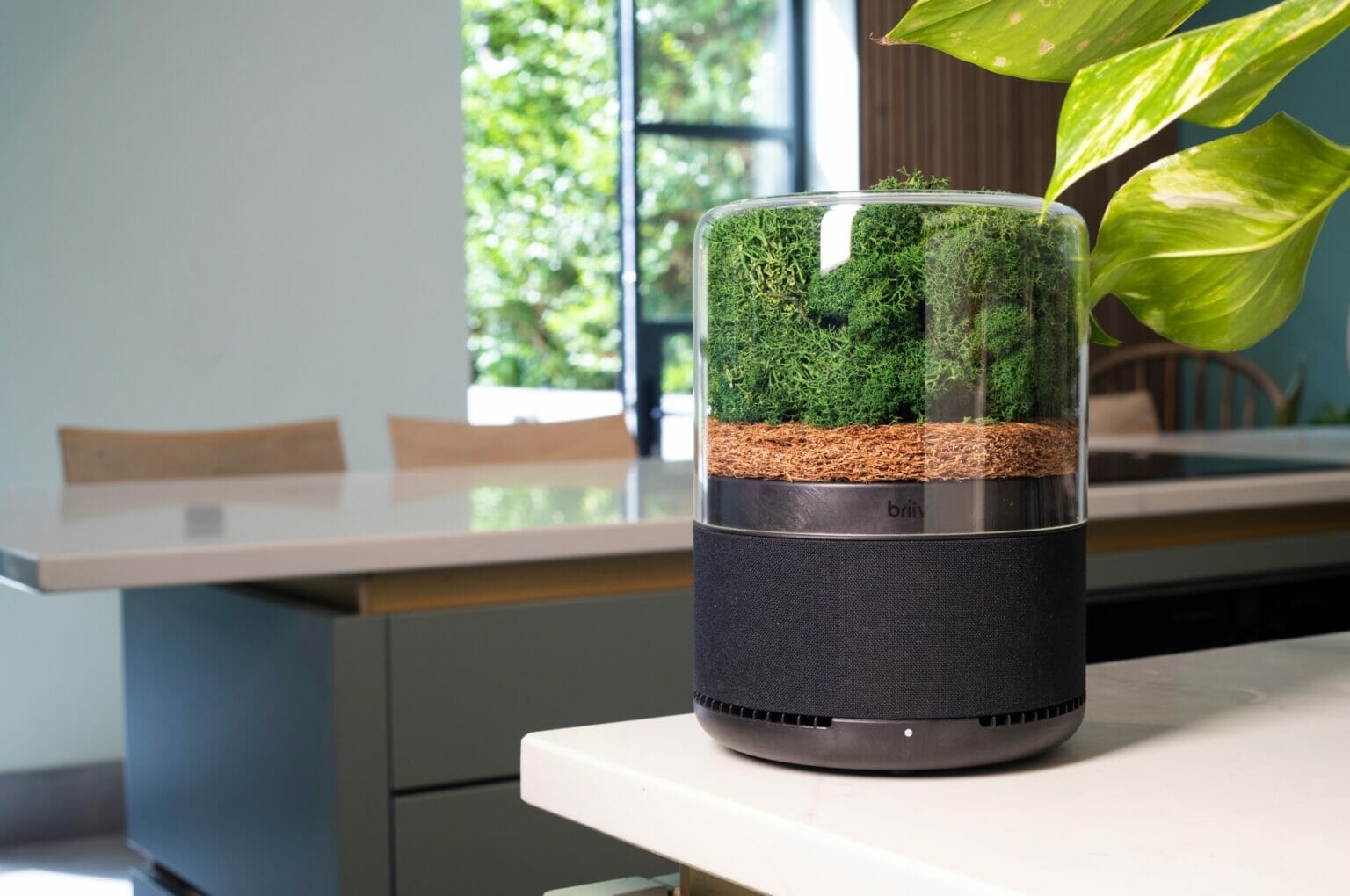 Beautiful view of Eco-Friendly Air Purifiers For Apartments