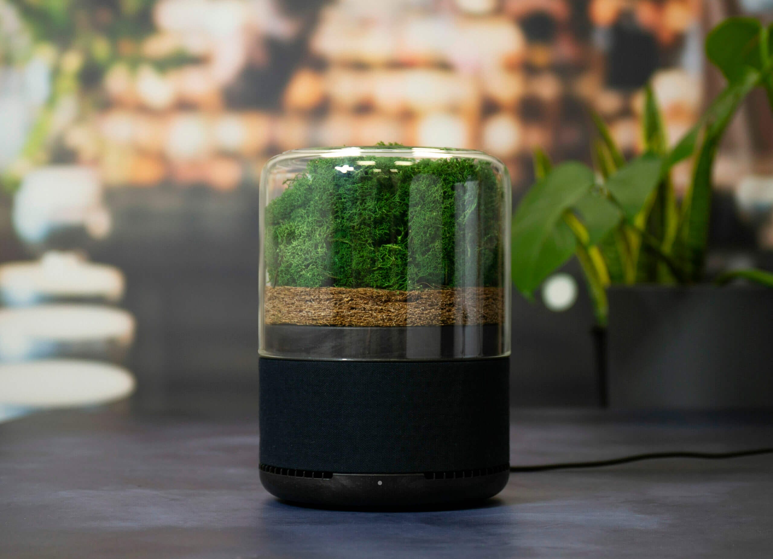 Briiv Natural Air Purifier