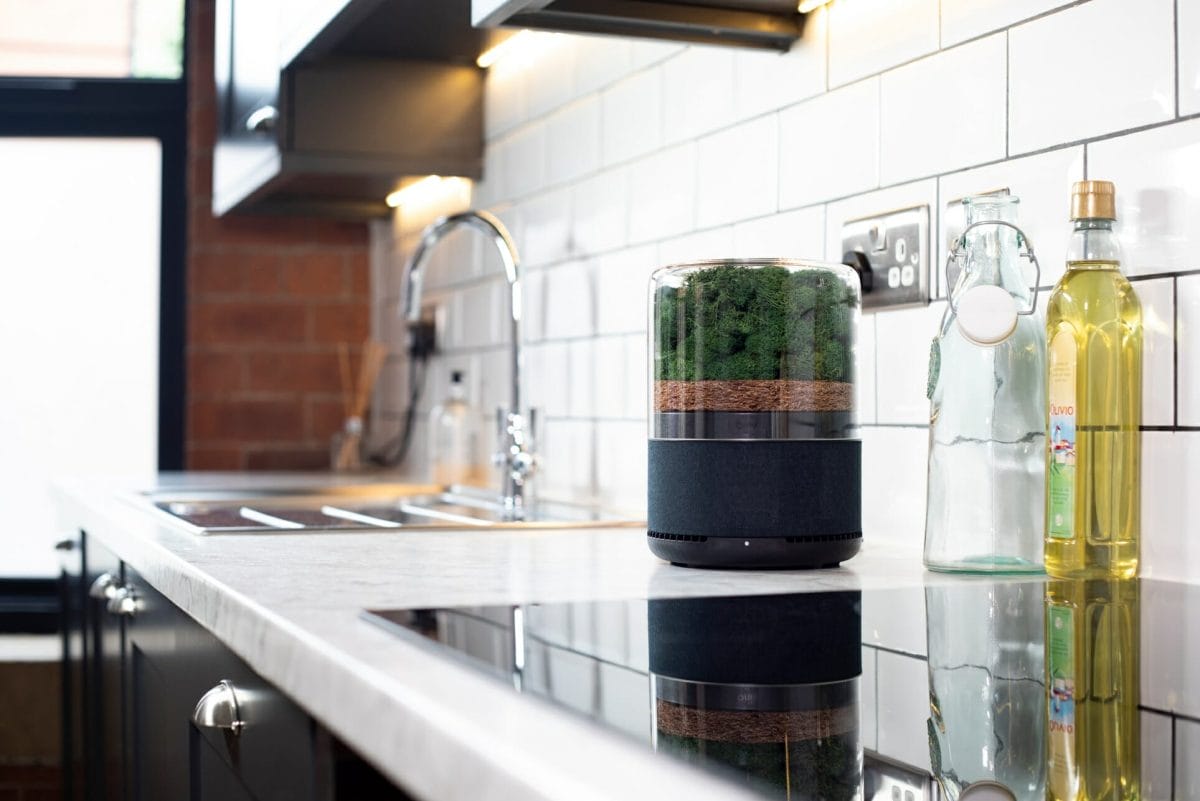 Briiv Air Purifier Review - The Most Eco-Friendly Air Purifier? 26 Briiv in Kitchen