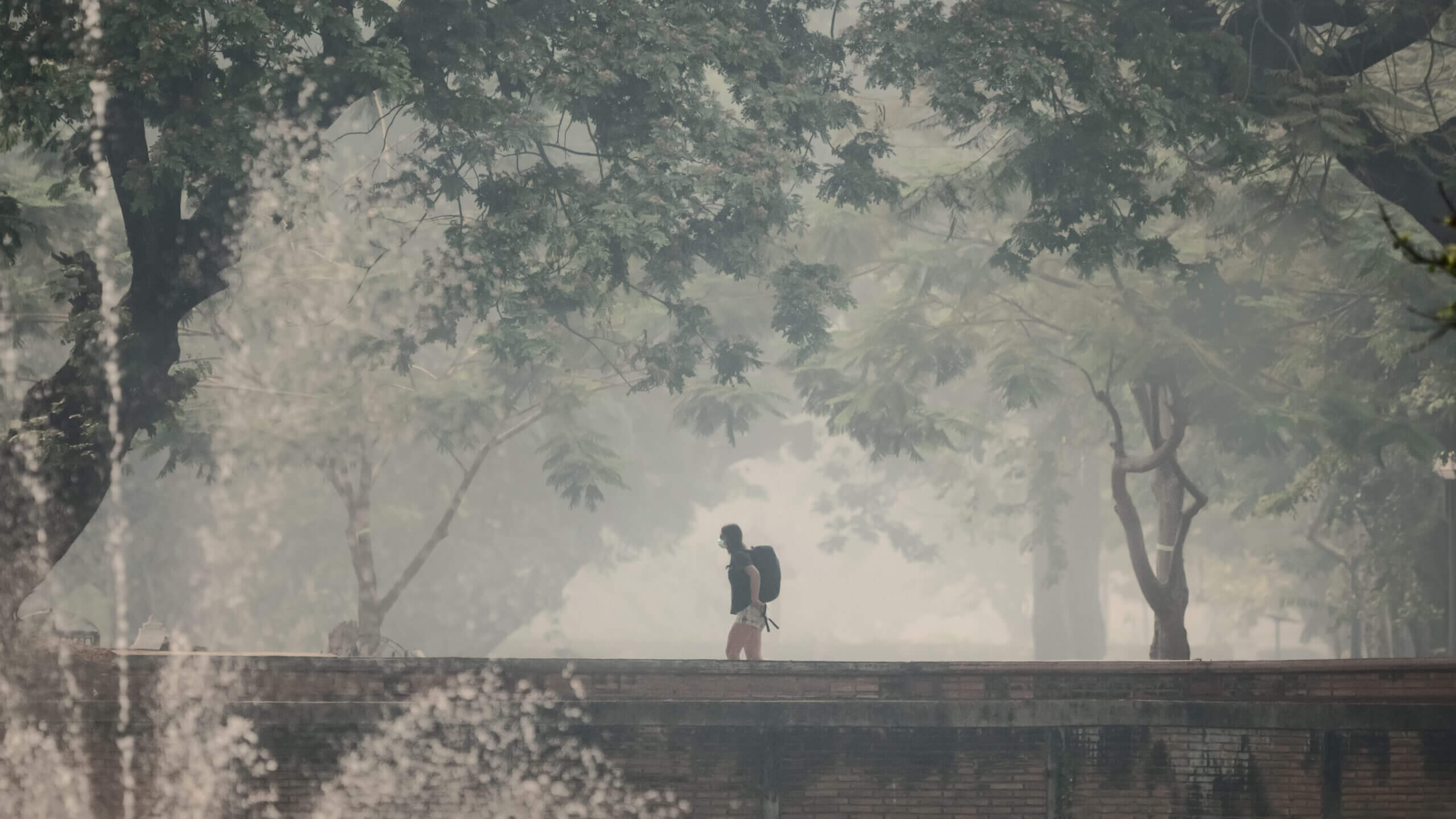 Chiang Mai Air Pollution