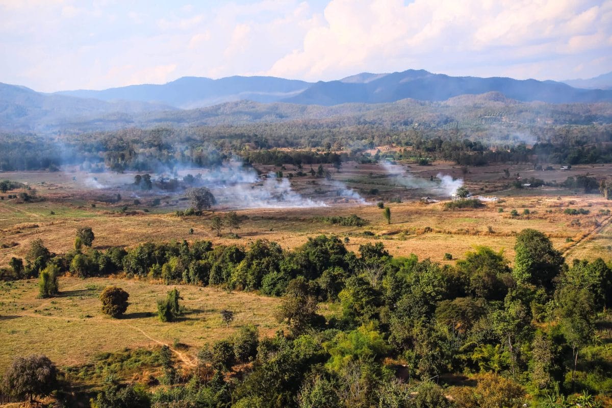 Air Pollution In Thailand - Everything You Need To Know 4 Chiang Mai Crop Burning