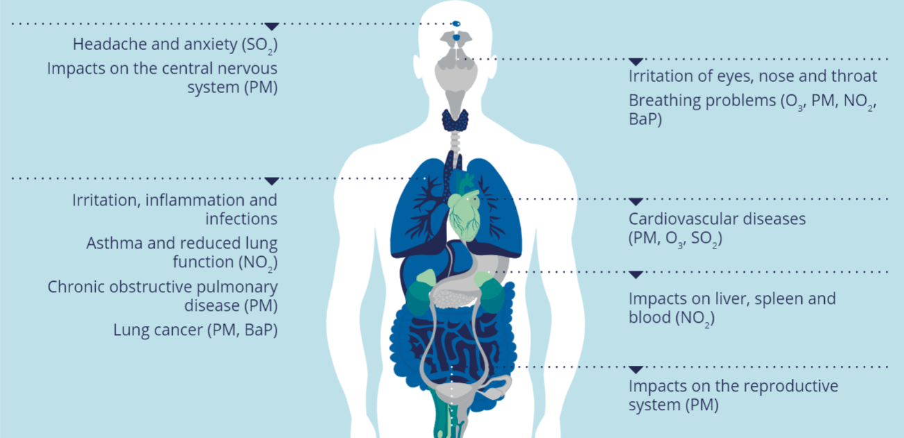 Health Impacts of Air Pollution