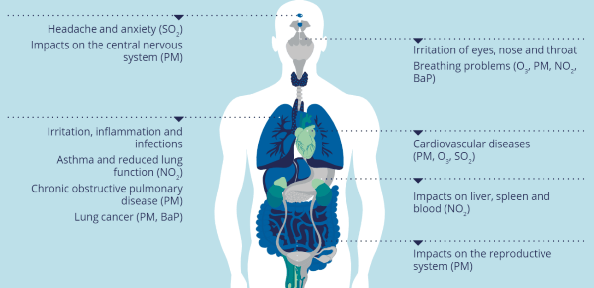 Air Pollution In Thailand - Everything You Need To Know 5 Health Impacts of Air Pollution