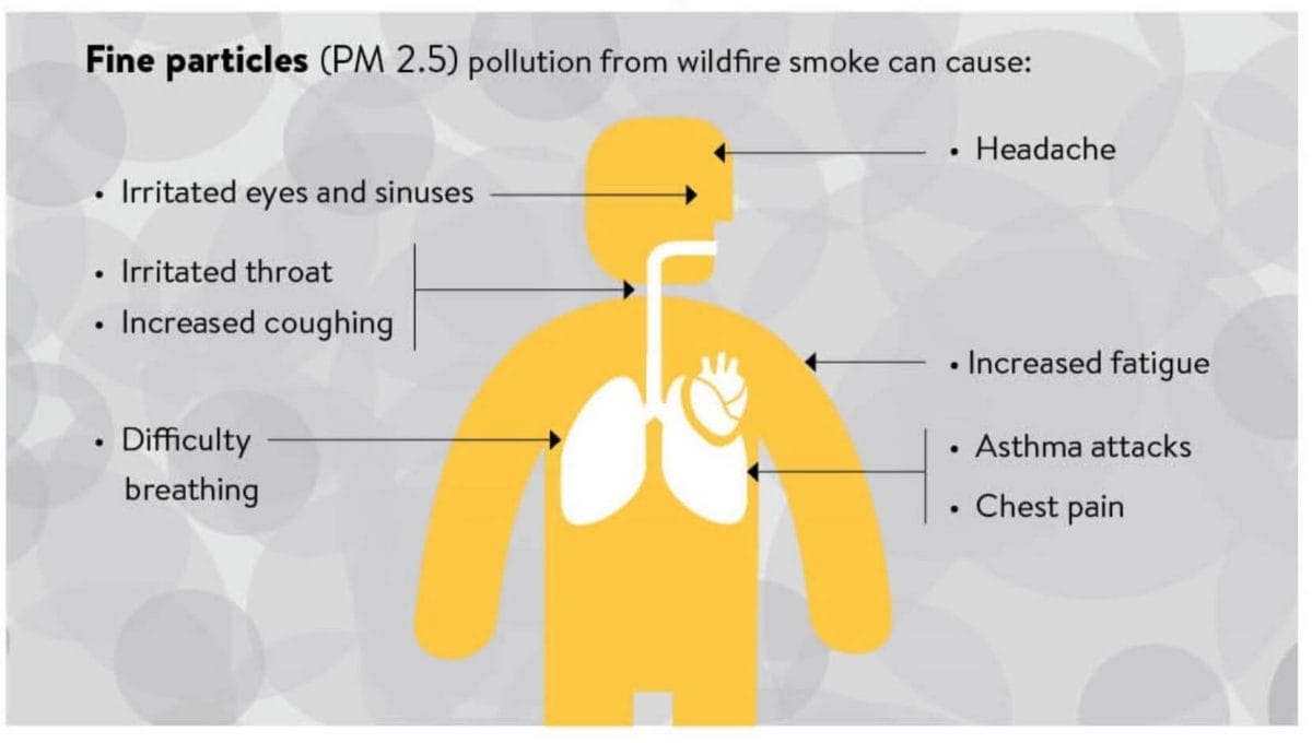 Wildfire Smoke Health Impac