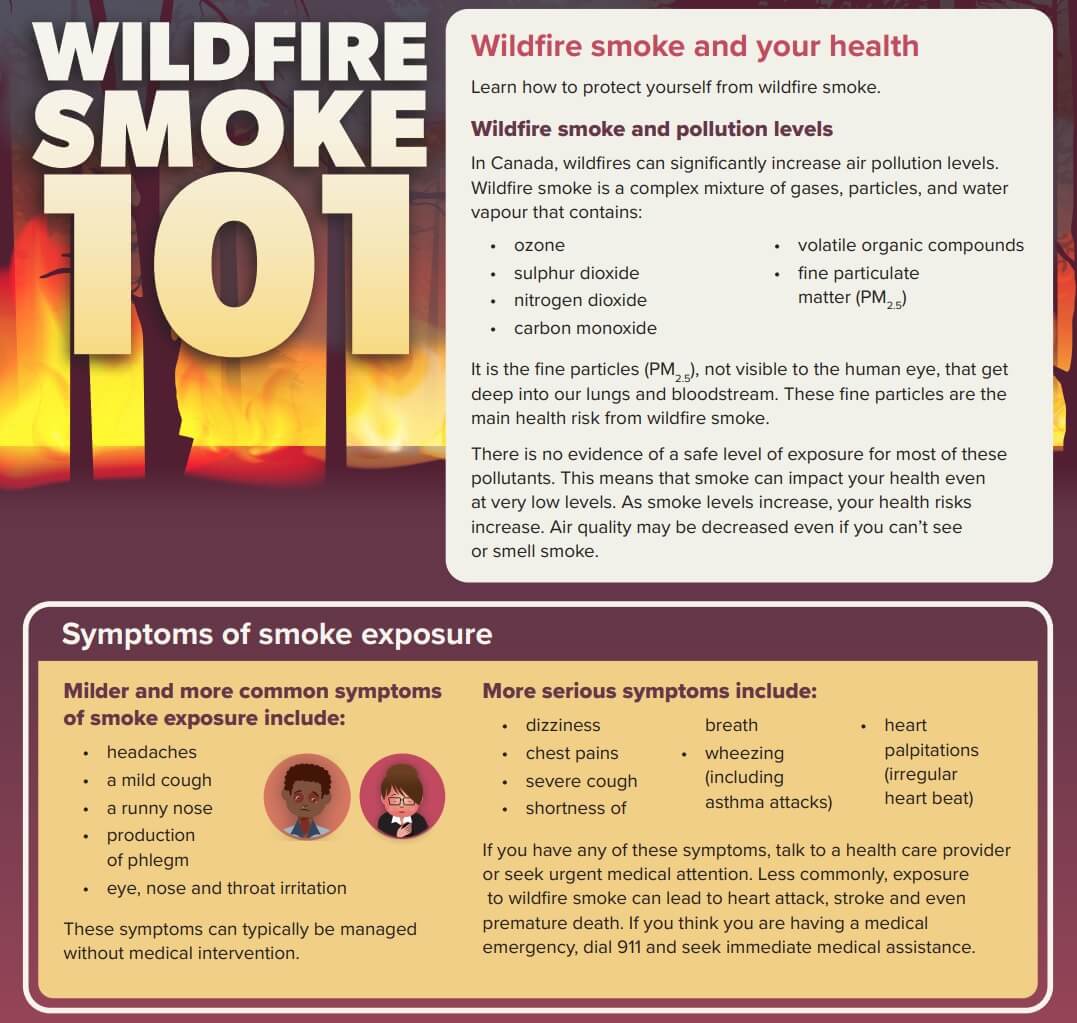 Wildfire Smoke Symptoms and Pollutants