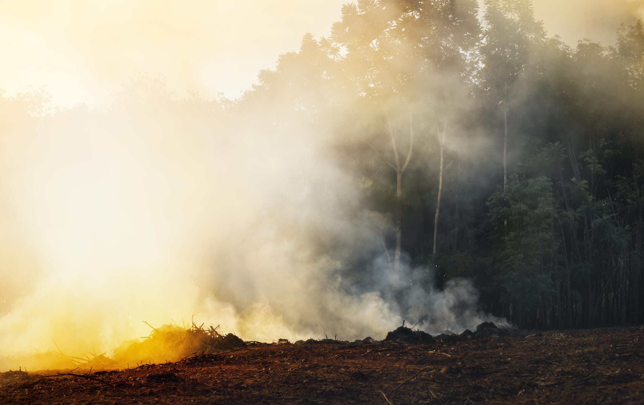 Crop Burning Air Pollution