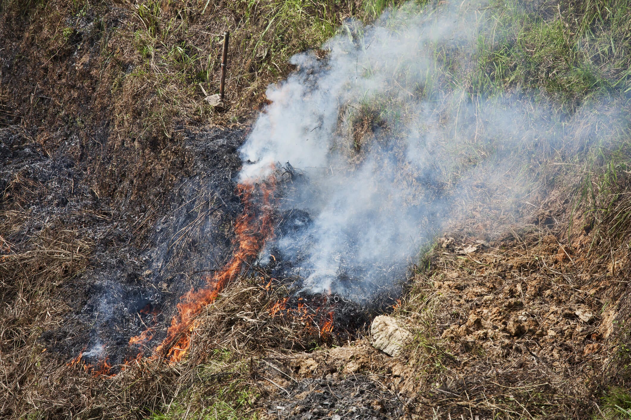 Crop Burning in Philippines