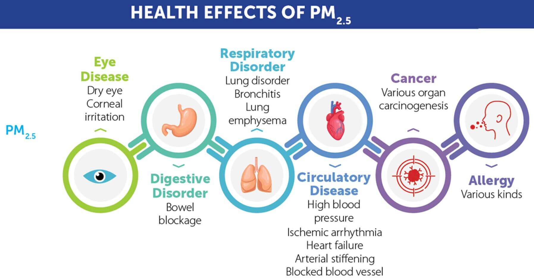 Air Pollution In Pakistan: A Silent Crisis Unfolding 13 Health Effects of PM2.5