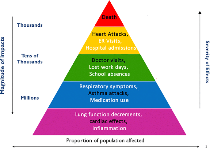 Impacts of Air Pollution