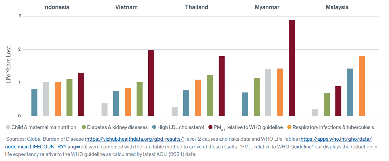 Leading Causes of Death Vietnam