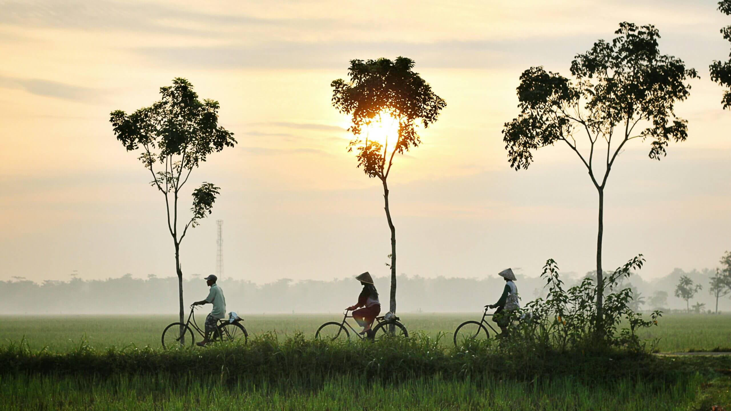 Air Pollution In Indonesia: Understanding The Crisis And How To Protect Yourself 6 Indonesia Air Pollution