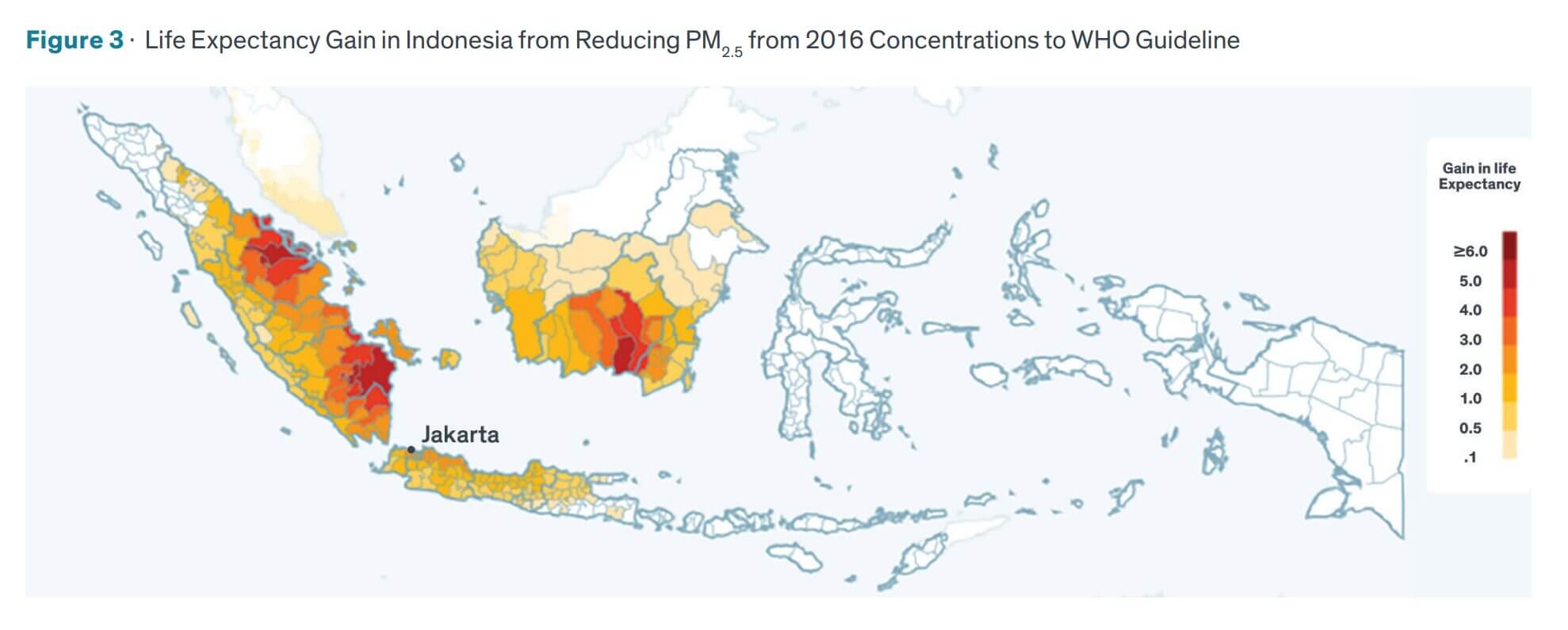 Indonesia Gain in Life