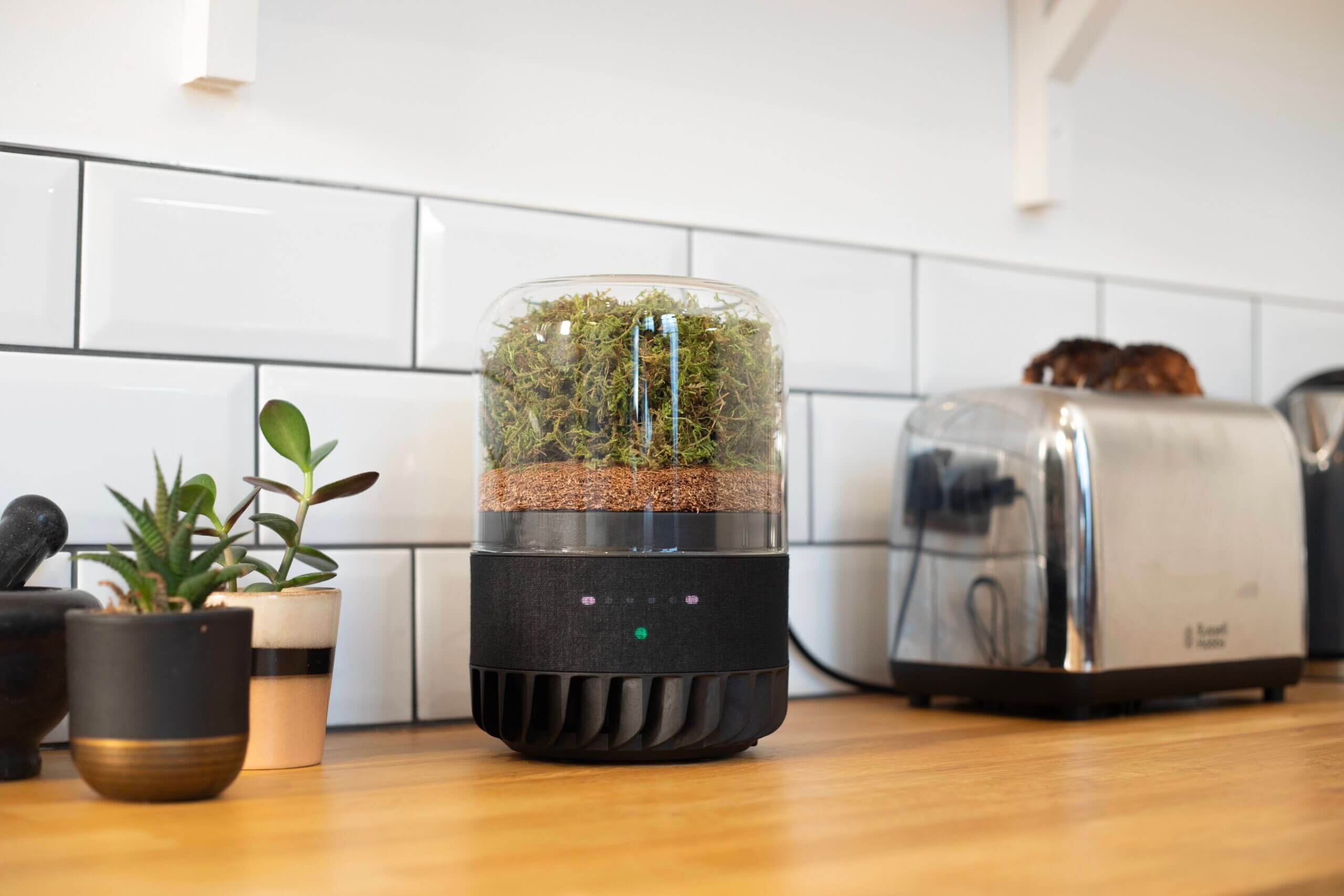 Briiv 2 &Amp; Briiv 2 Pro Review - The Most Beautiful Air Purifier Is Now Better! 7 Briiv 2 Control Buttons