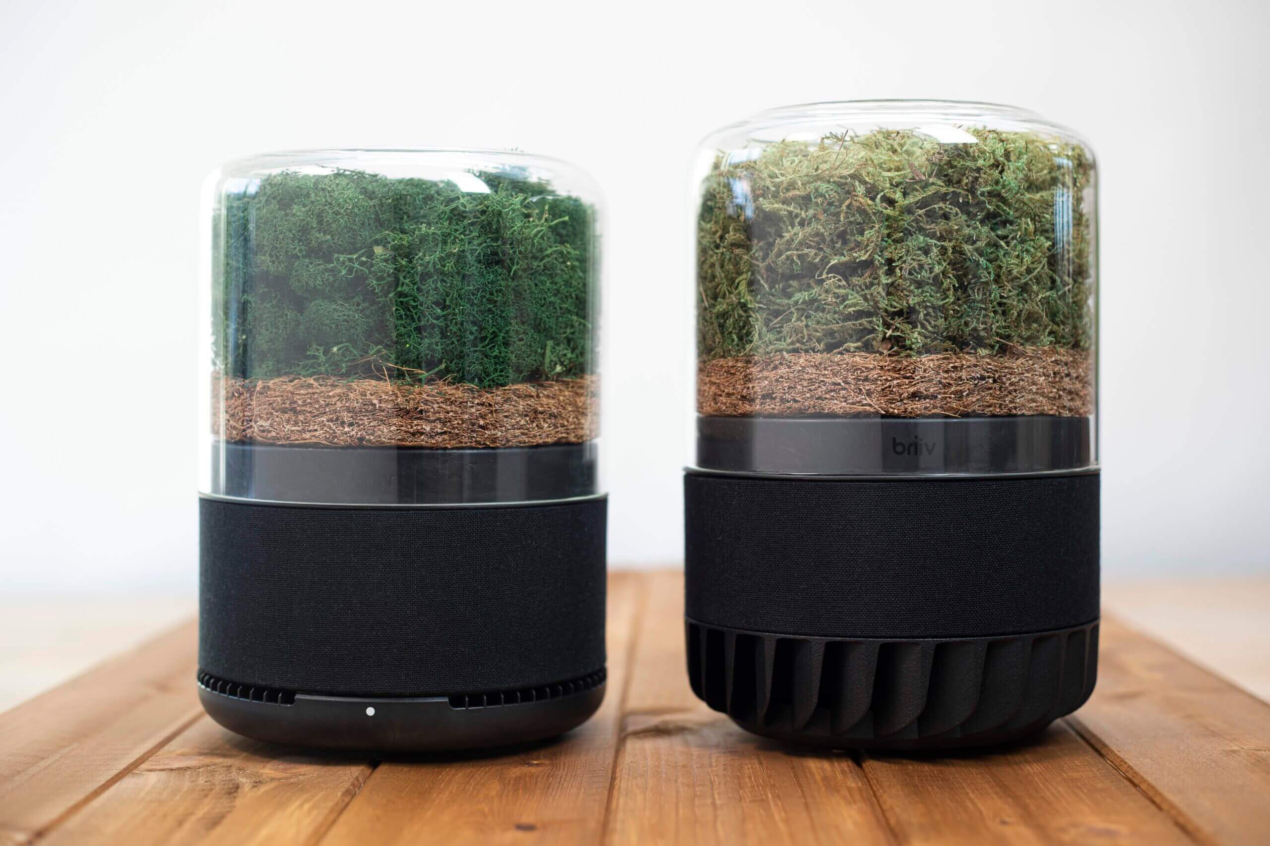 Briiv 2 &Amp; Briiv 2 Pro Review - The Most Beautiful Air Purifier Is Now Better! 6 Briiv 2 Size