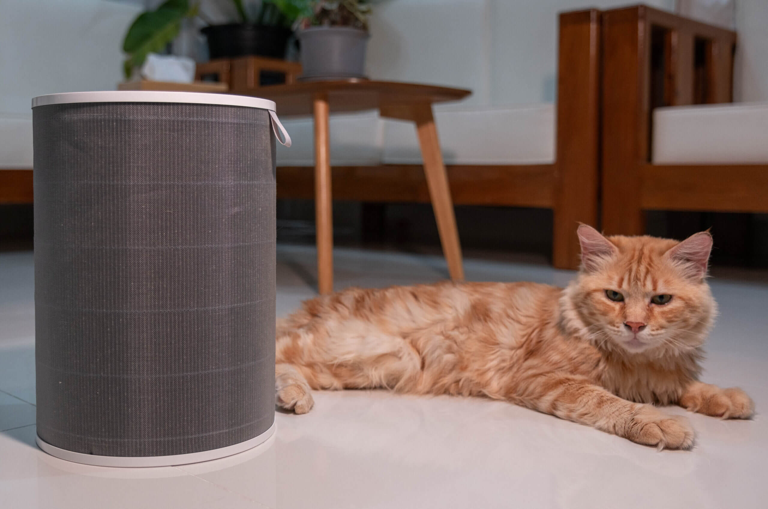 Mijia Smart Air Purifier 6 Review - Is Xiaomi’s Updated Purifier Even Better? 4 Xiaomi Smart Air Purifier Filter